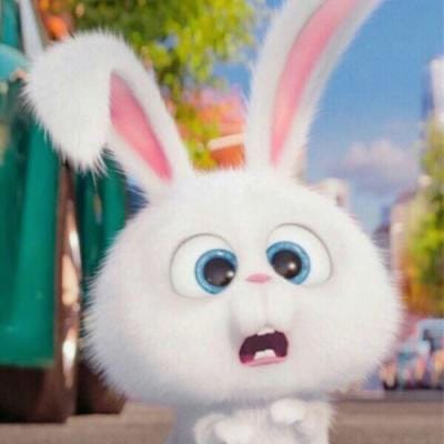 Chaudhry Shujaat avatar